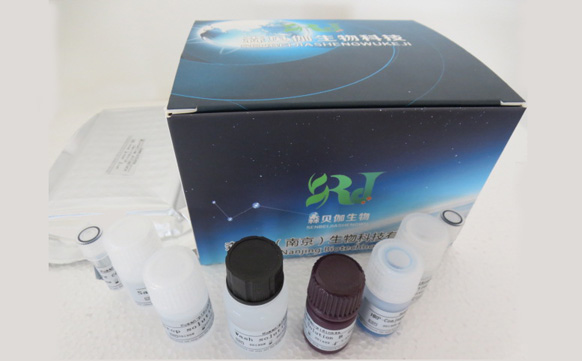 大鼠白介素16(IL-16)ELISA检测试剂盒