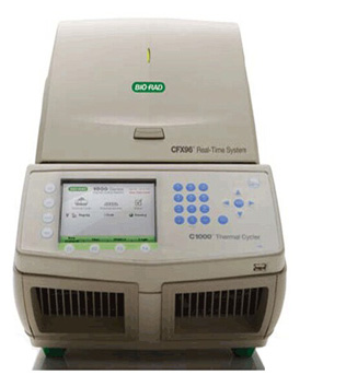 Bio-Rad CFX96 PCR System