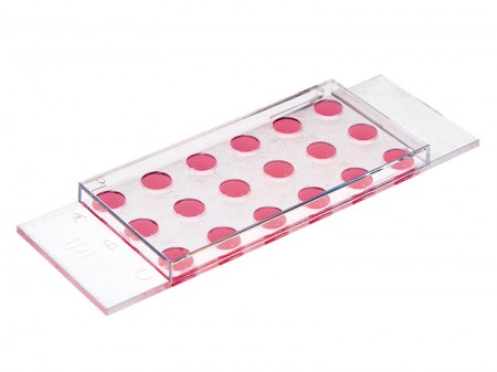 德国Ibidi µ-Slide 18孔培养载玻片-81821 81822 81823 81824 81825 81826 81831