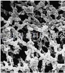 密理博RAWP04700混合纤维素微孔滤膜