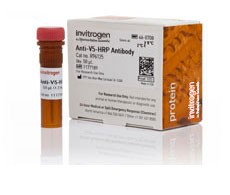 6x-His Epitope Tag Antibody, HRP conjugate (3D5)