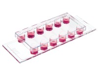  ibidi 免疫荧光染色 u-Slide VI 0.1