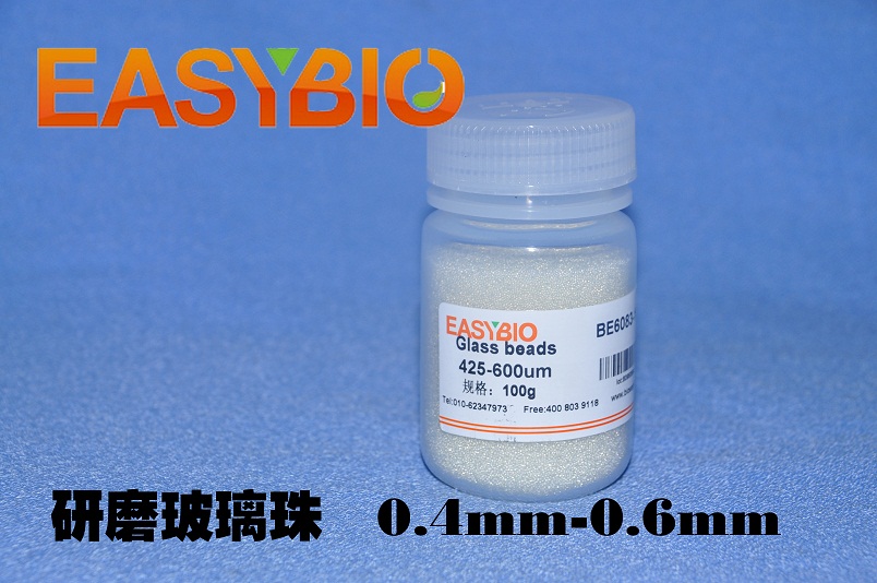 研磨玻璃珠 玻璃微珠 100g 0.4-0.6mm