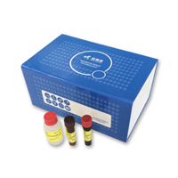 Annexin V-FITC/PI apoptosis assay kit