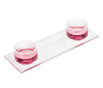 易必迪 ibidi 培养&染色 u-Slide I