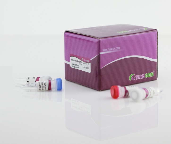 EsayGeno快速重组克隆试剂盒(VI201)