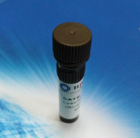 细胞膜荧光探针DiOC2(3),碘化物