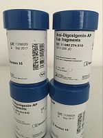 Anti-Digoxigenin-AP, Fab fragments