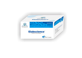 大鼠白介素10(IL-10)酶联免疫吸附测定试剂盒