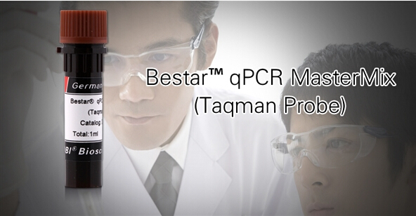 Bestar qPCR Master Mix(TaqmanProbe)