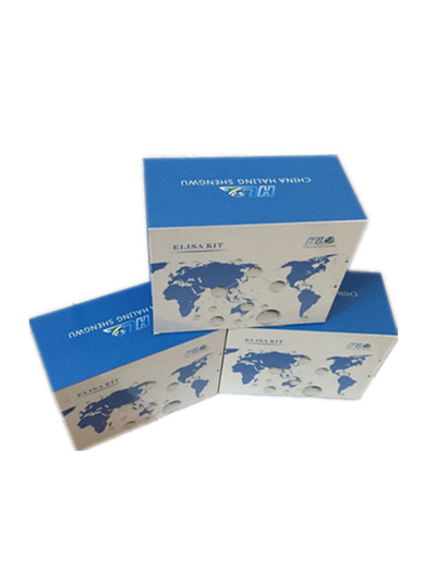 豚鼠白介素12(IL-12/P70)ELISA试剂盒