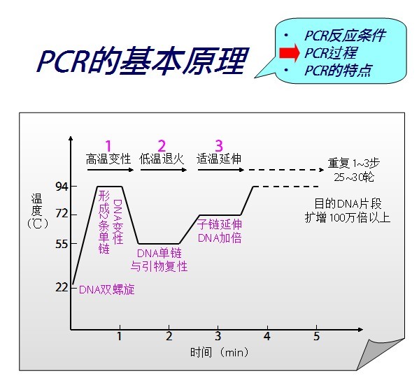  QPCR/Realtime PCR/RT-PCR检测服务(追求服务品质-请选择科维创)