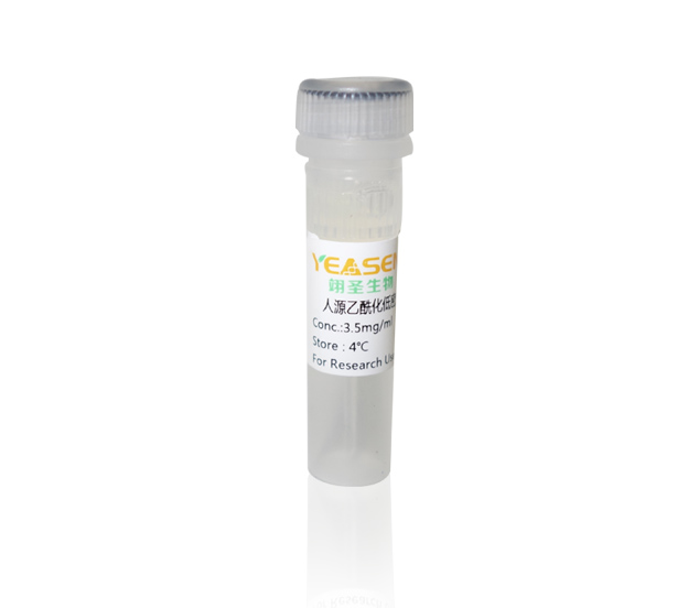 Human Ac-LDL（人源乙酰化低密度脂蛋白）