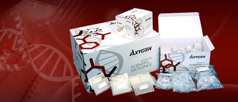 Axygen分子生物学试剂盒