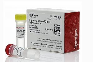 Lipofectamine® 3000 试剂