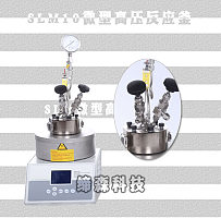 10ml微型反应釜
