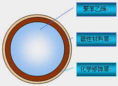 聚苯乙烯磁性微球