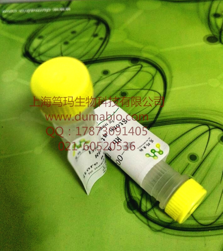 AFP单抗（已配对）