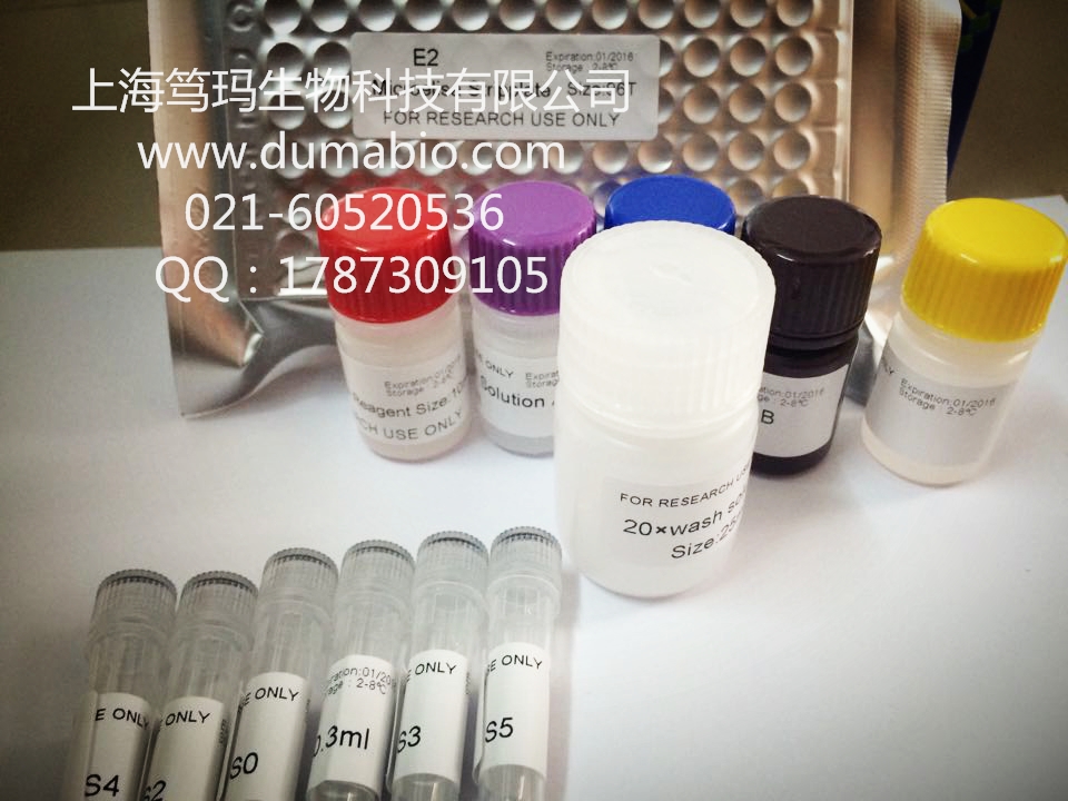 兔血管紧张素转化酶 (ACE)酶联免疫试剂盒ELISA