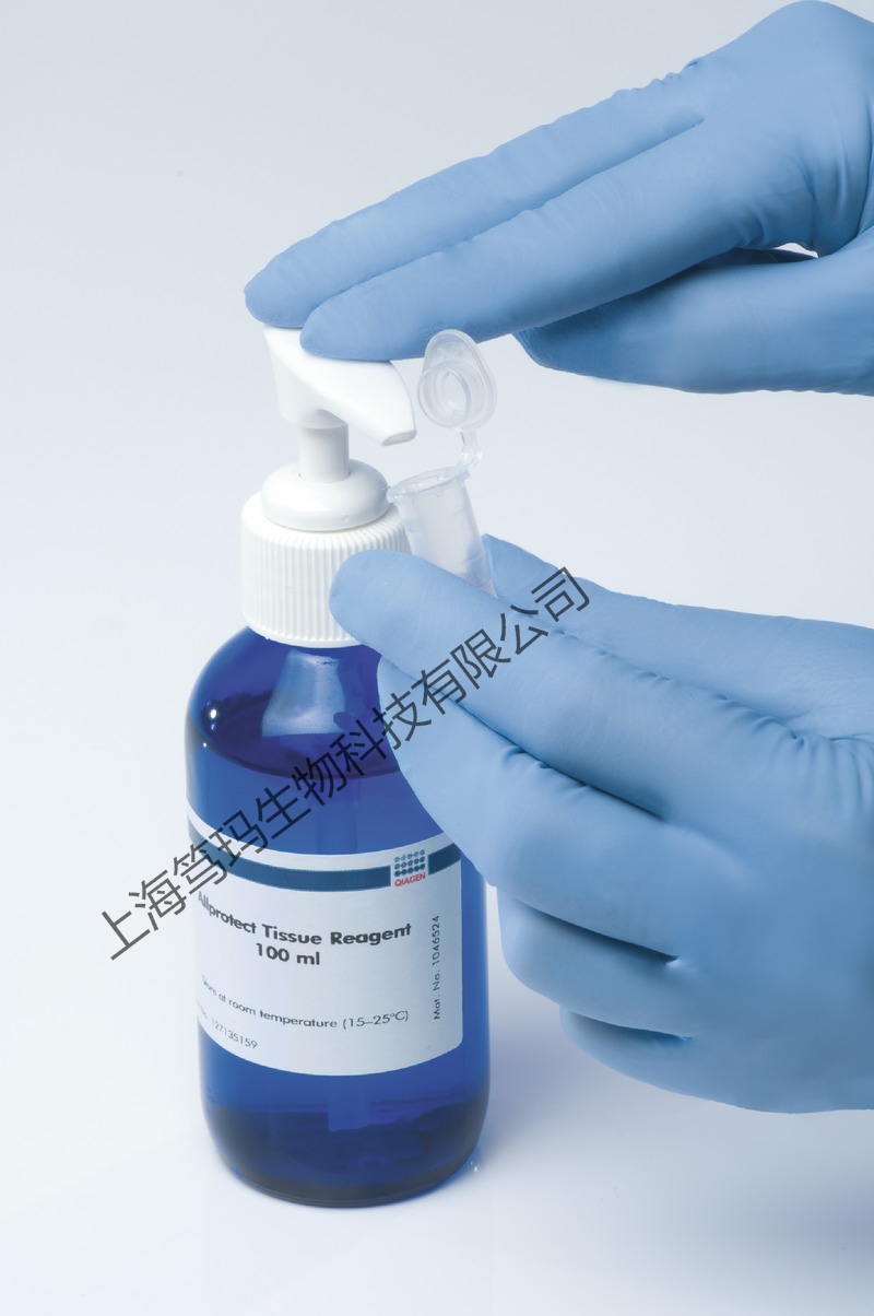 丁胺卡那霉素溶液(Amikacin,50mg/ml)