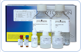 ZytoLight ® SPEC ERBB3/CEN 12 双色探针