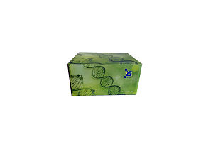 猴趋化因子C-X3-C-基元配体(CX3CL1)酶联免疫ELISA试剂盒