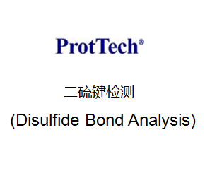 二硫键谱图分析 (Disulfide Bond Analysis)
