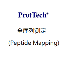 肽图谱 (Peptide Mapping)