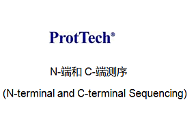 N-端和C-端测序 (N-terminal and C-terminal Sequencing)