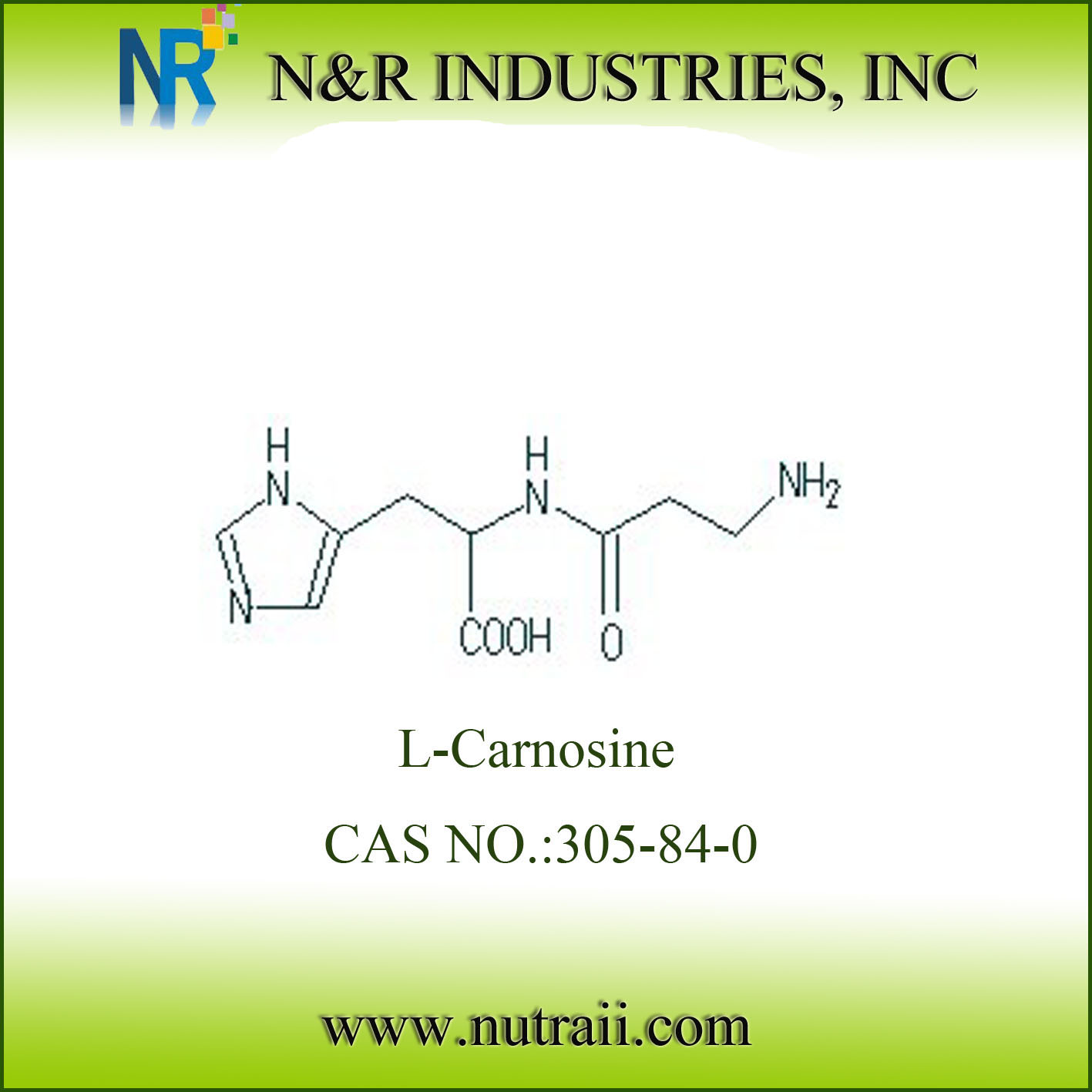 L-肌肽 L-carnosine   305-84-0