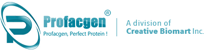Large-scale GLP-compliant Protein Production