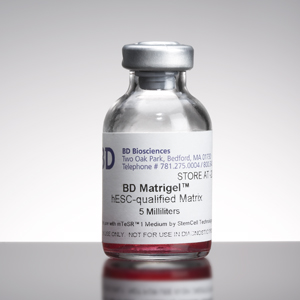 基质胶, 经过人胚胎干细胞培养验证; MATRIGEL MATRIX HESC-QUALIFIED 5ML 热销现货