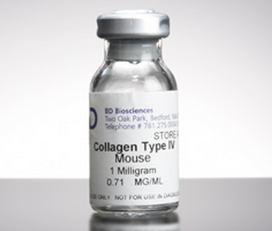 四型胶原单克隆抗体