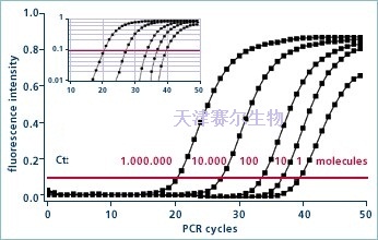 实时荧光定量PCR技术服务