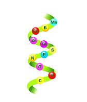 6-甲基尿嘧啶/CAS号626-48-2