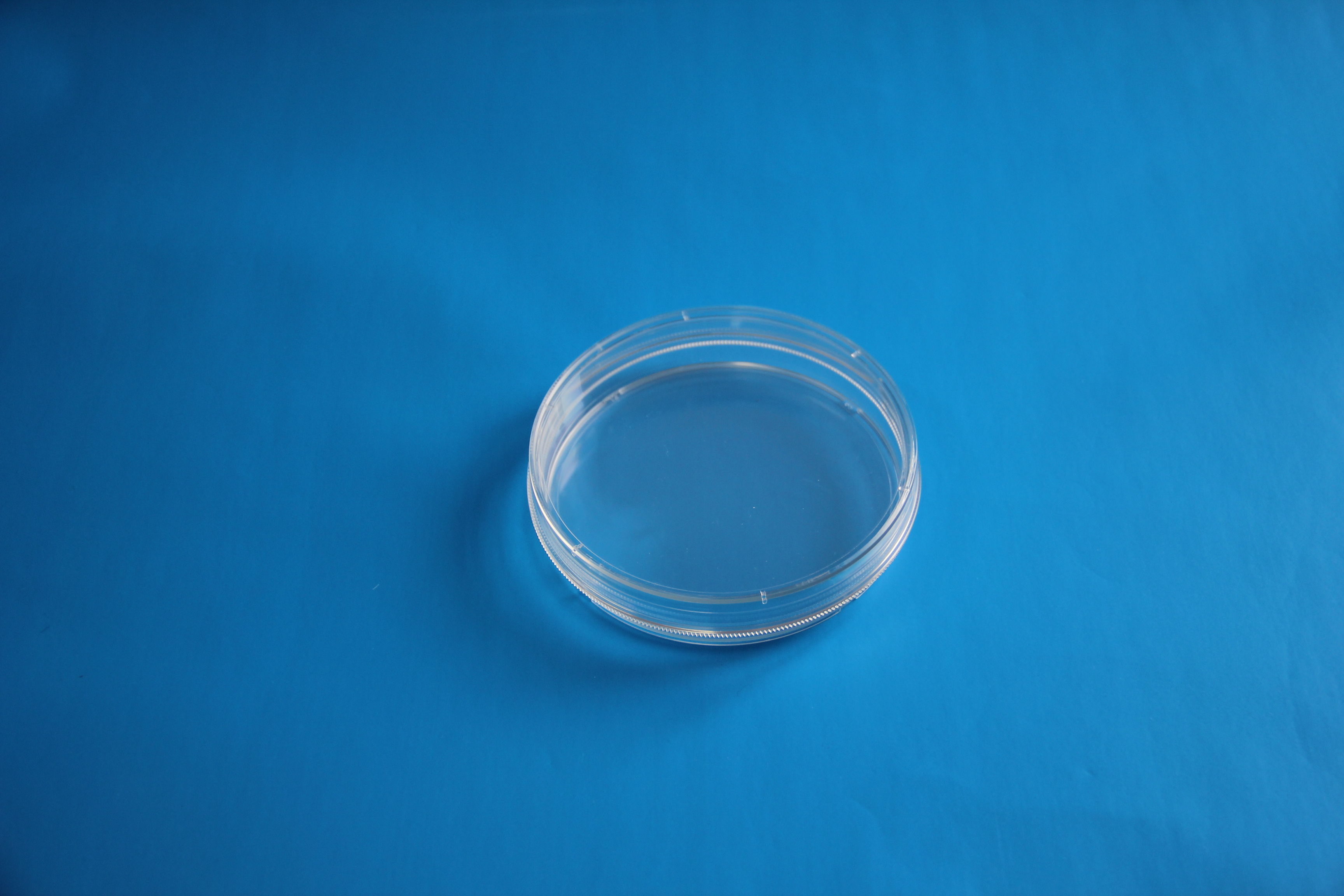 TC处理标准透明35mm带边细胞培养皿，灭菌细胞培养皿