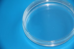 TC处理标准透明150mm细胞培养皿，灭菌细胞培养皿