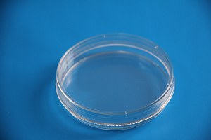 TC处理标准透明60mm带边细胞培养皿，灭菌细胞培养皿