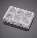 BioCoat™纤维胶原包被细胞小室置于4块6孔板，孔径1μm，PET膜，24套/箱