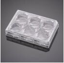 BioCoat™ I型胶原包被细胞小室置于4块6孔板，孔径0.4μm， PET膜， 24套/箱