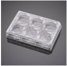 BioCoat™ I型胶原包被细胞小室置于4块6孔板，孔径3.0μm， PET膜， 24套/箱
