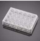BioCoat™ I型胶原包被细胞小室置于2块24孔板，孔径3.0μm， PET膜， 24套/箱
