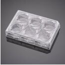 BioCoat™ IV型胶原包被细胞小室置于4块6孔板，孔径3.0μm，PET膜，24套/箱