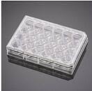 BioCoat™层粘连蛋白包被细胞小室置于2块24孔板，孔径3μm，PET膜，24套/箱