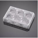 BioCoat™ Matrigel®包被侵袭系统 细胞小室置于4块6孔板，孔径8μm，PET膜，24套/箱