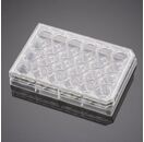 BioCoat™ Matrigel®包被侵袭系统 细胞小室置于2块24孔板，孔径8μm，PET膜，24套/箱