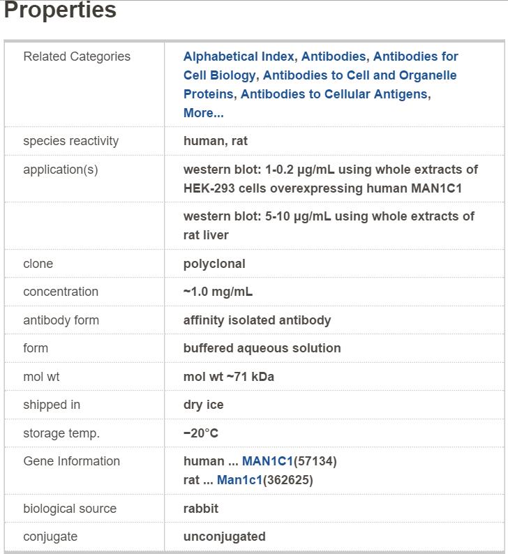 Anti-MAN1C1 antibody produced in rabbit