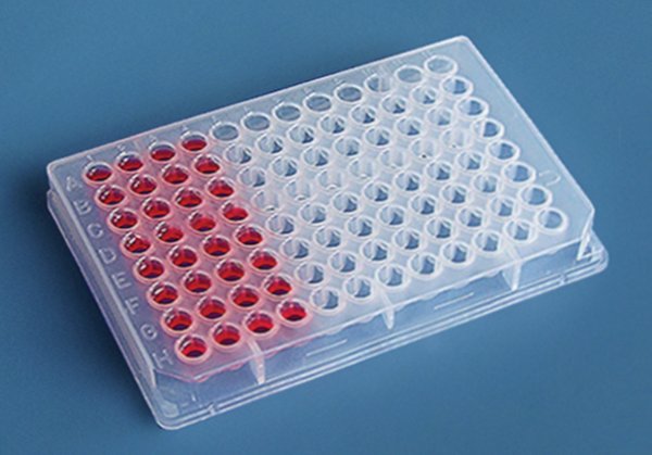人血管紧张素Ⅱ受体1抗体（ATⅡR1）ELISA检测试剂盒
