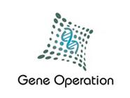 吉西他滨 Gemcitabine