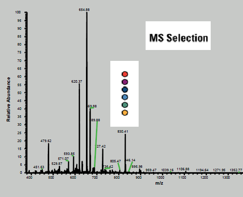 串联质谱标记（TMT）相对定量蛋白质组检测